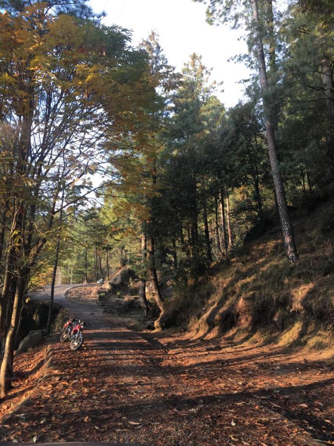 Aloche Apartments Murree Eksteriør bilde